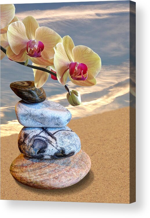 Pebbles Acrylic Print featuring the photograph Orchids and Pebbles on Sand by Gill Billington