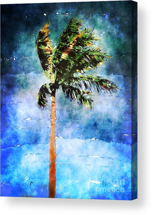 Palm Tree Acrylic Print featuring the photograph Palm Tree In A Tropical Storm by Phil Perkins
