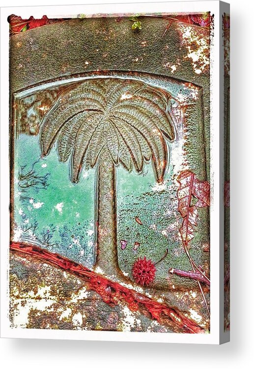 Palm Tree Acrylic Print featuring the photograph Palm Tree by Patricia Greer
