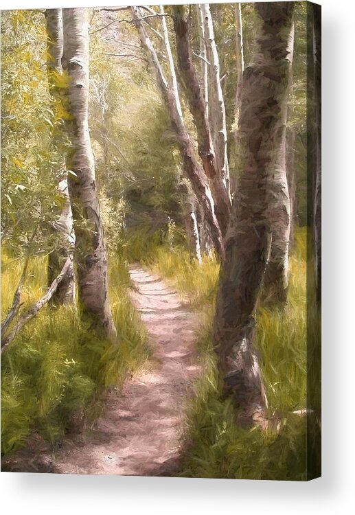 Woods Acrylic Print featuring the photograph Path 1 by Pamela Cooper