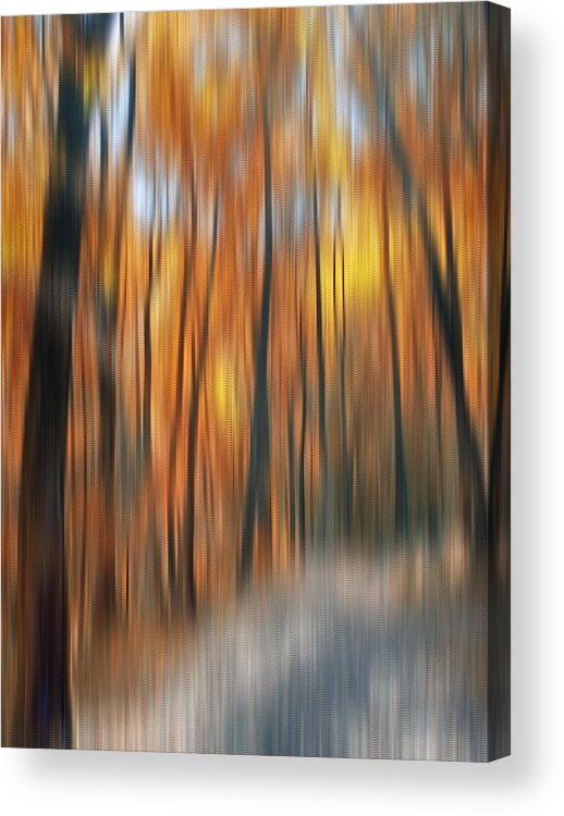 Autumn Acrylic Print featuring the photograph Peaceful Path by Susan Candelario