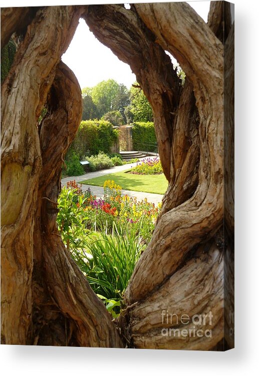 Peek Acrylic Print featuring the photograph Peek At The Garden by Vicki Spindler