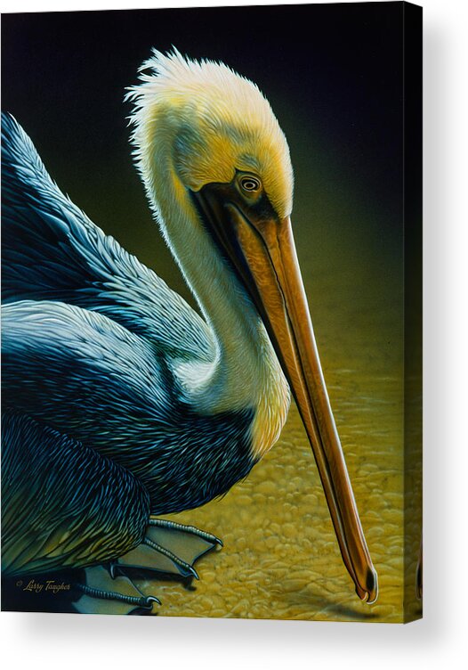 Larry Taugher Acrylic Print featuring the painting Pelican Detail by JQ Licensing