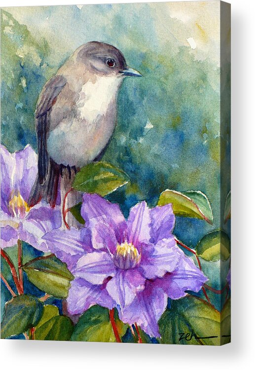 Bird Print Acrylic Print featuring the painting Phoebe and Clematis by Janet Zeh