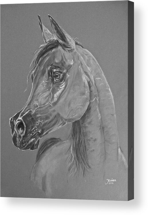 Horses Acrylic Print featuring the pastel Pianissima by Janina Suuronen