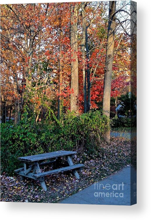 Picnic Acrylic Print featuring the photograph Picnic in the Park by Christy Gendalia