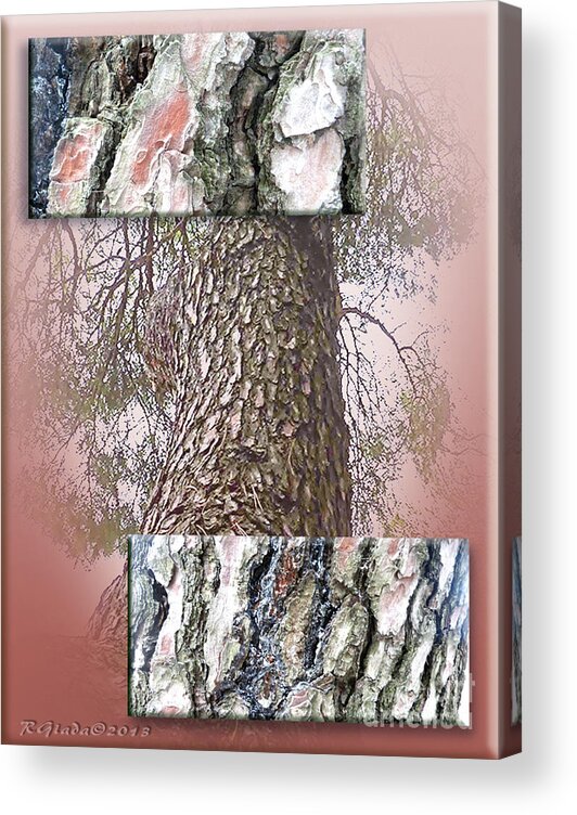 Pine Acrylic Print featuring the digital art Pine bark study 1 - photograph by Giada Rossi by Giada Rossi