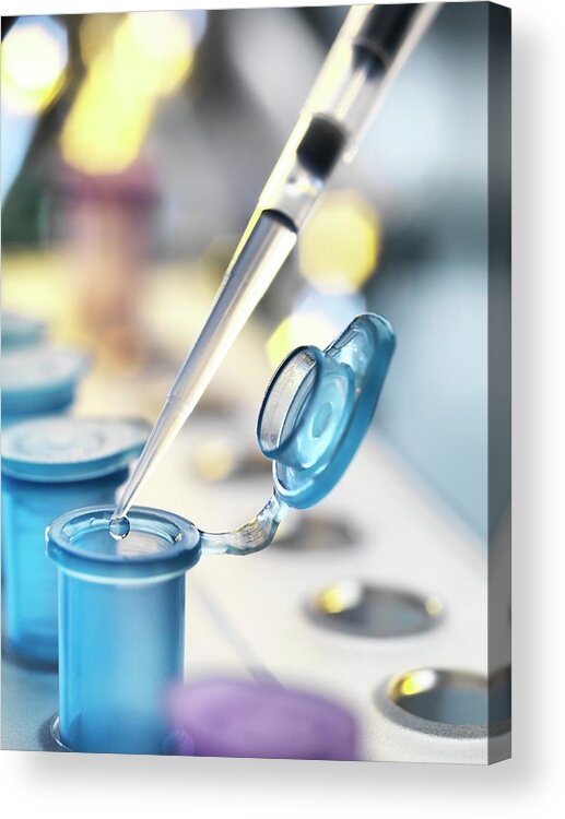 Accuracy Acrylic Print featuring the photograph Pipetting Samples by Tek Image