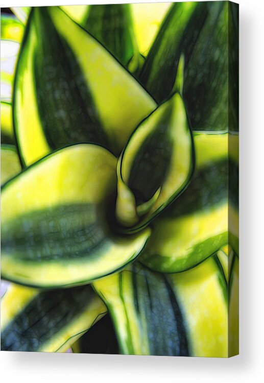 Hawaii Acrylic Print featuring the photograph Plant 56 by Dawn Eshelman