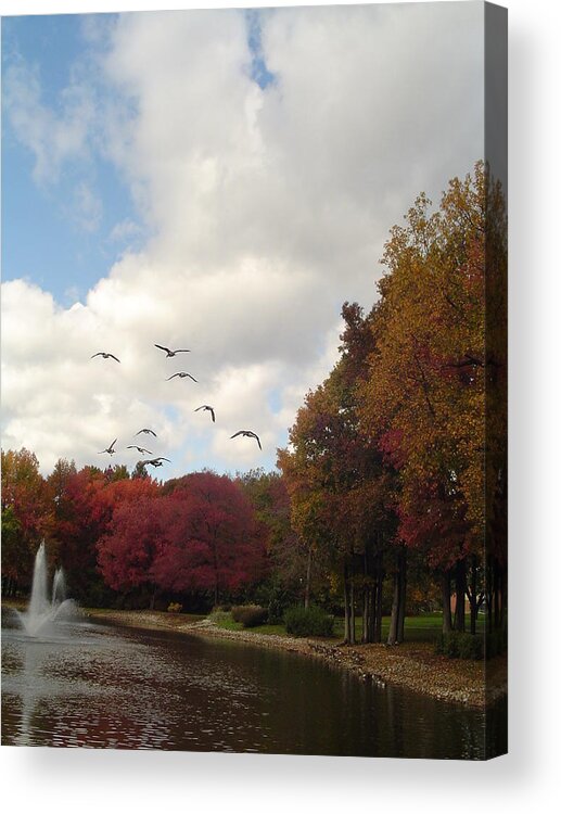 New Jersey Acrylic Print featuring the photograph Pond by Vadim Levin