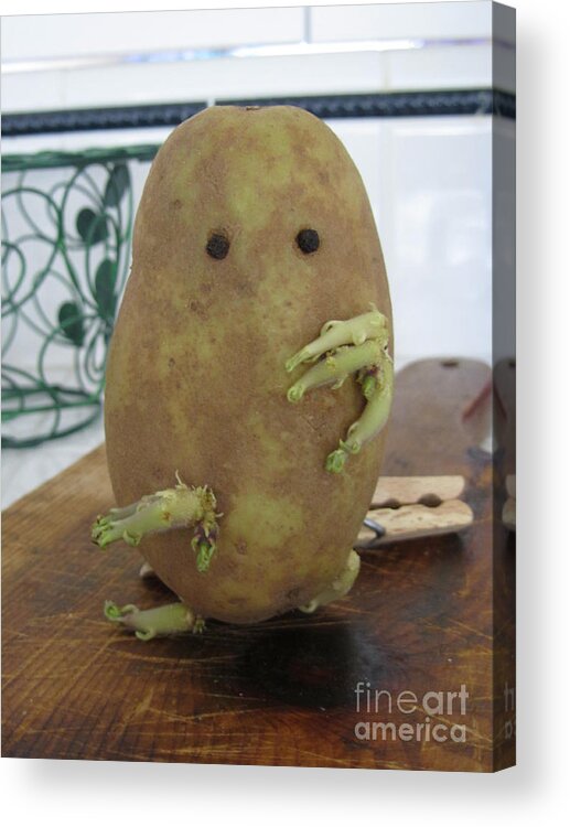 Potato Acrylic Print featuring the photograph Potato Man by Samantha Geernaert