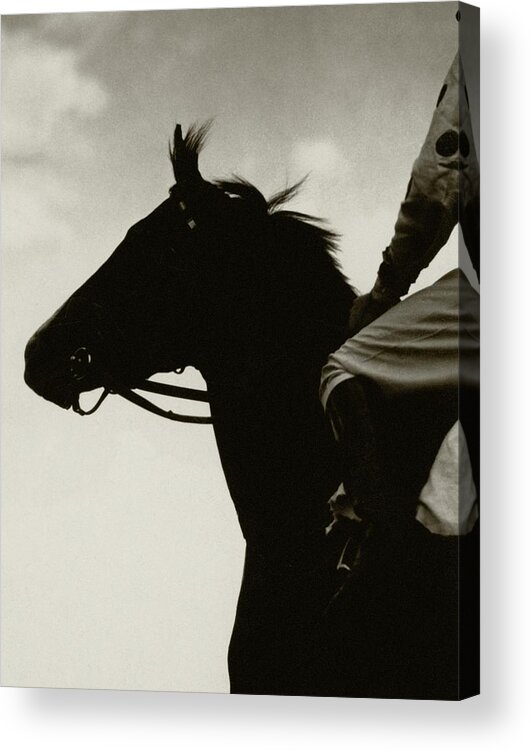 Animal Acrylic Print featuring the photograph Race Horse Gallant Fox by Edward Steichen