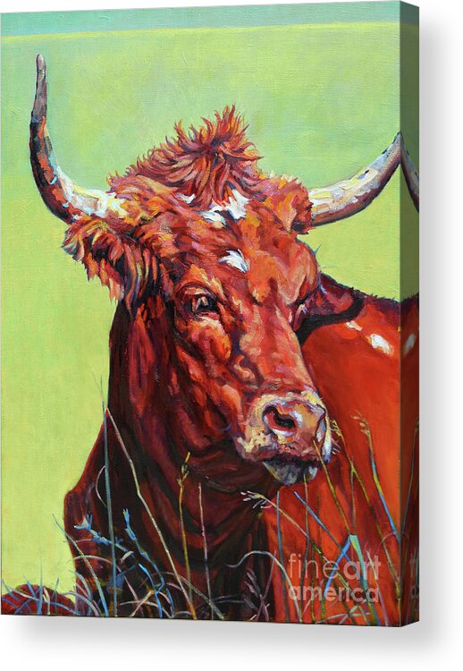 Long Horn Acrylic Print featuring the painting Red Bull by Patricia A Griffin