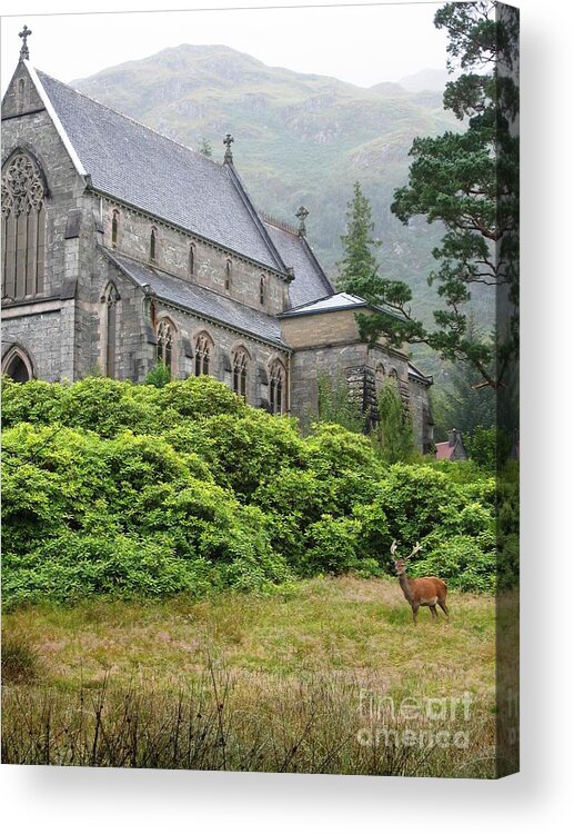 Scottish Highlands Acrylic Print featuring the photograph Red Deer And Church by Denise Railey