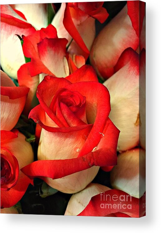 Red Tips Acrylic Print featuring the photograph Red Tips by Nona Kumah