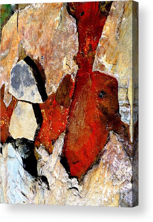Abstract Acrylic Print featuring the photograph Red Veins by Marcia Lee Jones