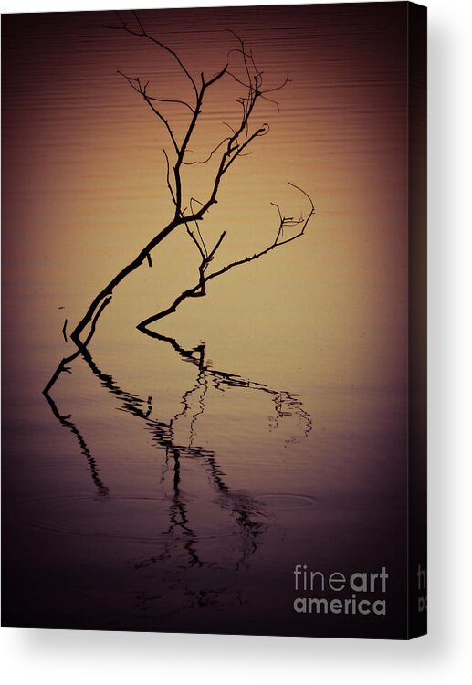  Lagoon Acrylic Print featuring the photograph Reflection by Angela Wright