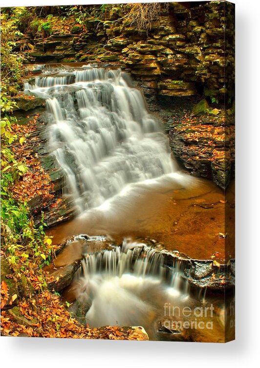 Waterfall Acrylic Print featuring the photograph Ricketts Glen - Delaware Falls by Nick Zelinsky Jr