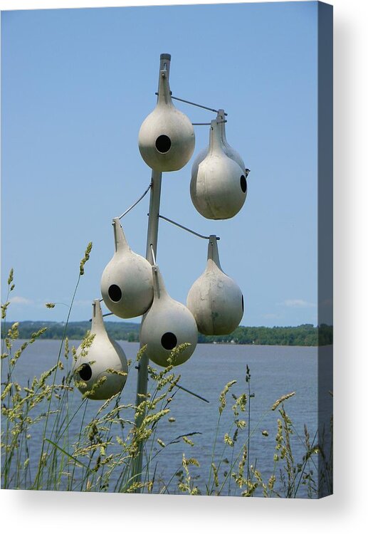 Mason Neck State Park Acrylic Print featuring the photograph Riverside Birdhouses by Jean Goodwin Brooks