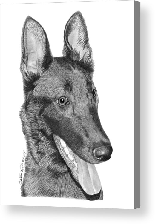 Roxy Acrylic Print featuring the drawing Roxy - 028 by Abbey Noelle