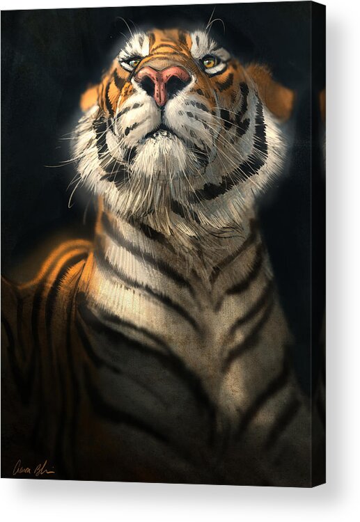 Tiger Acrylic Print featuring the digital art Royalty by Aaron Blaise