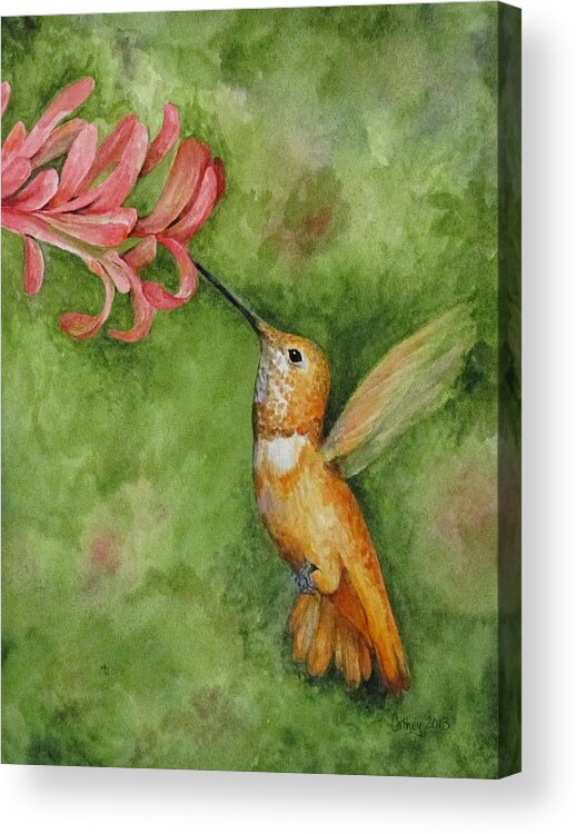 Hummingbird Acrylic Print featuring the painting Rufous Hummingbird by Catherine Howley