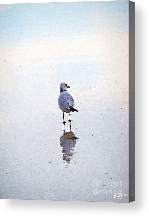 Watercolor Acrylic Print featuring the photograph Sea Birds No.3 by Melissa Fae Sherbon