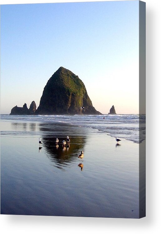 Seagulls And A Surfer Acrylic Print featuring the photograph Seagulls And A Surfer by Will Borden