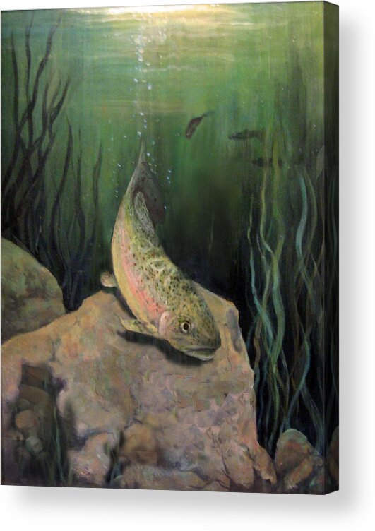 Nature Acrylic Print featuring the painting Single Trout by Donna Tucker