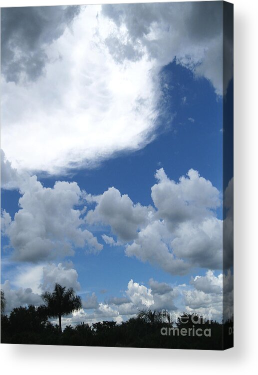 Sky Acrylic Print featuring the photograph Sky View by Oksana Semenchenko