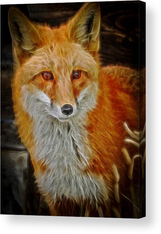 Red Fox Acrylic Print featuring the digital art Sly Fox 2 by Ernest Echols