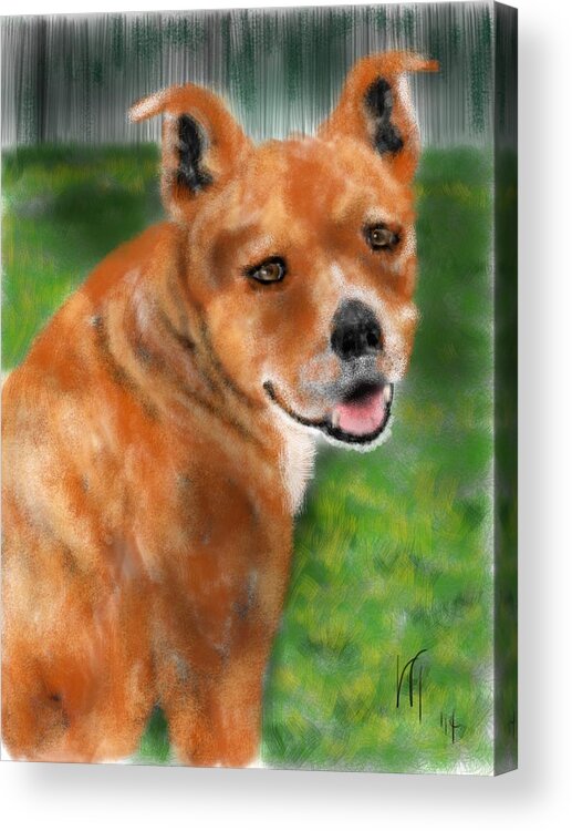 Animal Acrylic Print featuring the painting Smiling Red Dog by Lois Ivancin Tavaf
