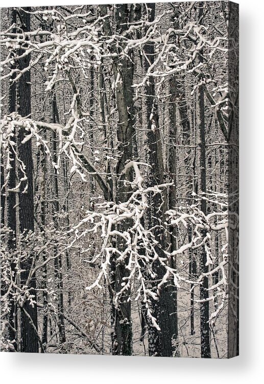 Landscape Acrylic Print featuring the photograph Snowy Woods by Carol Whaley Addassi
