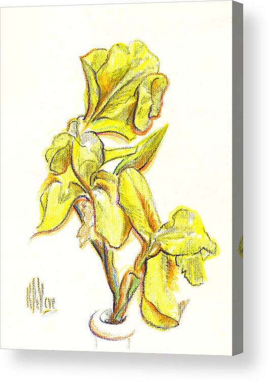 Spanish Irises Acrylic Print featuring the painting Spanish Irises by Kip DeVore