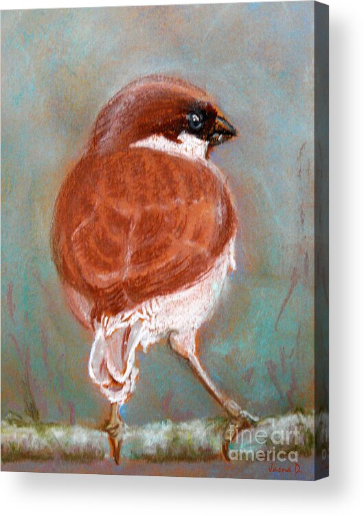 Sparrow Acrylic Print featuring the painting Sparrow by Jasna Dragun