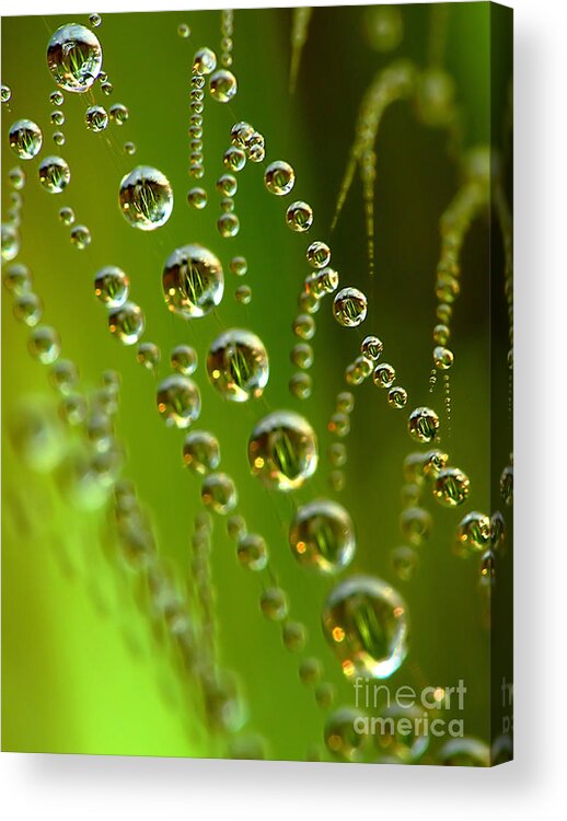  Spider Acrylic Print featuring the digital art Spider web with water drops by Odon Czintos