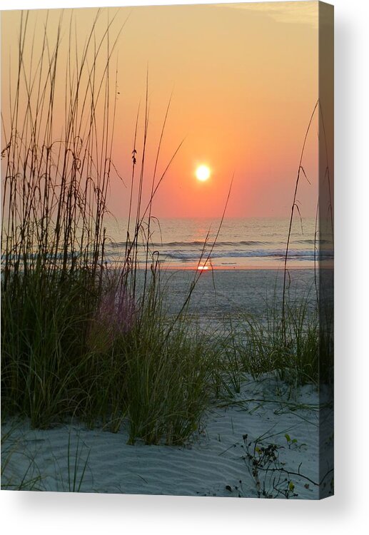 St Acrylic Print featuring the photograph St. Augustine Sea Oats by Phil King