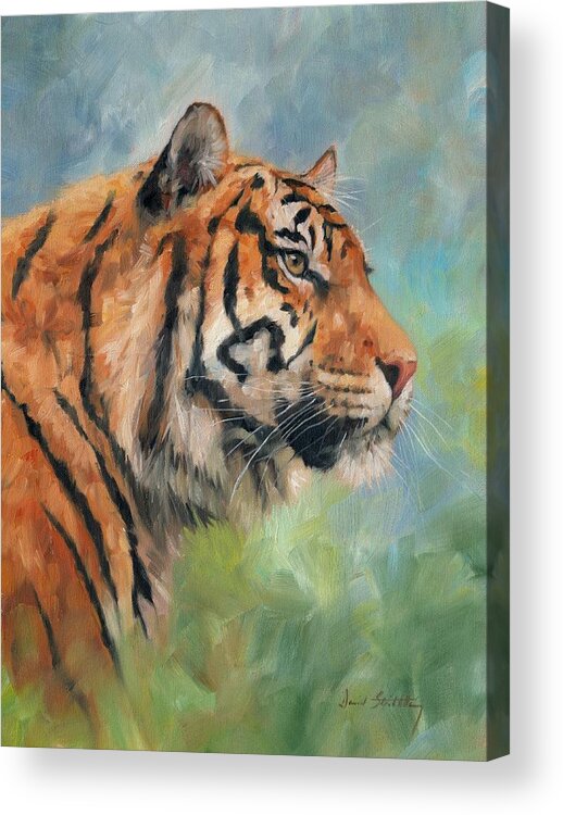 Tiger Acrylic Print featuring the painting Sumatran Tiger by David Stribbling