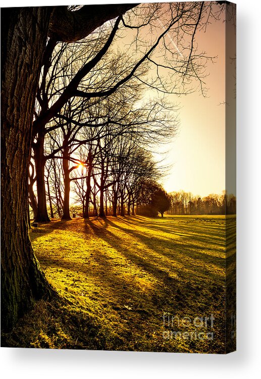 Sunset Acrylic Print featuring the photograph Sunset at the park by Daniel Heine