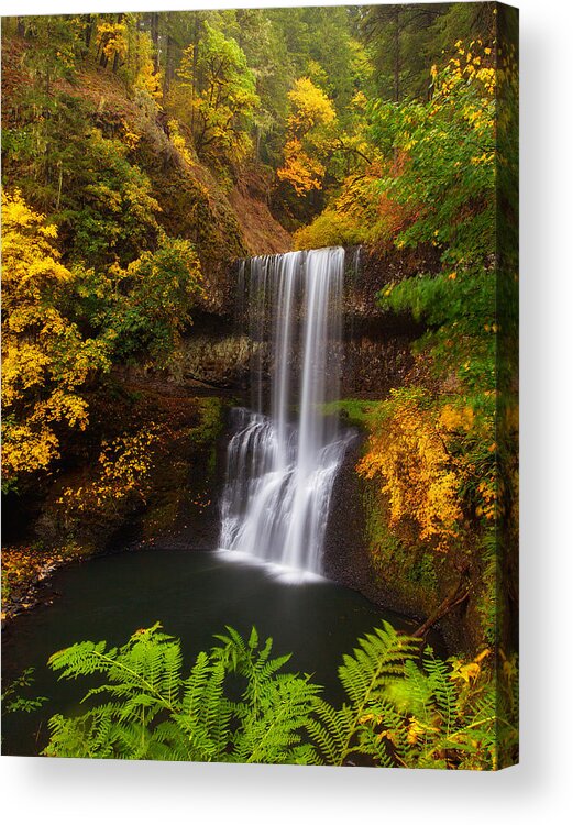 Waterfall Acrylic Print featuring the photograph Surrounded By Fall by Darren White