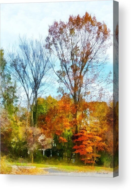 Street Acrylic Print featuring the photograph Tall Autumn Trees by Susan Savad