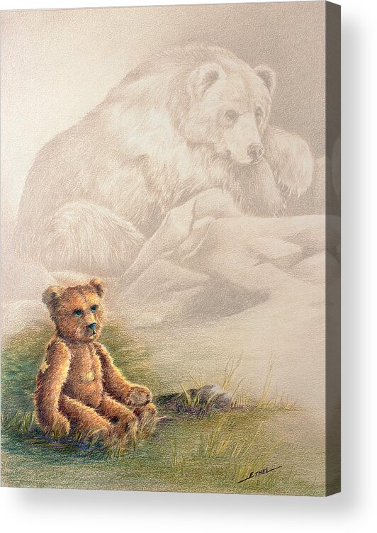 Teddy Bear Acrylic Print featuring the drawing Tattered Bear by Judi Quelland