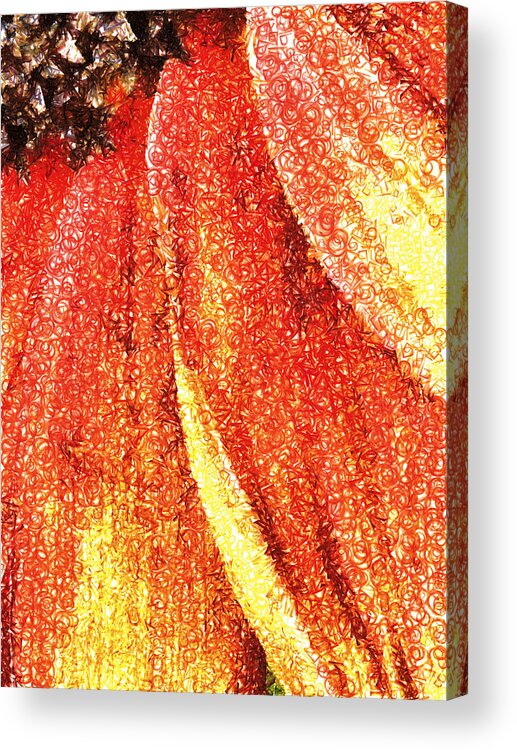Texture; Red; Yellow; Brown; Fllower; Petals Acrylic Print featuring the photograph Textured Petals by Steve Taylor