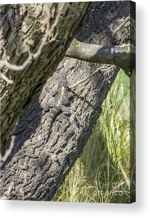 Camouflage Acrylic Print featuring the photograph The art of camouflage by Arik Baltinester