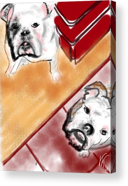 Bulldogs Acrylic Print featuring the painting The Bulldogs by Lois Ivancin Tavaf