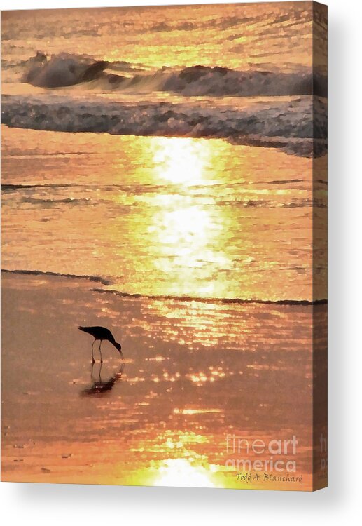 Landscape Acrylic Print featuring the photograph The Early Bird by Todd Blanchard