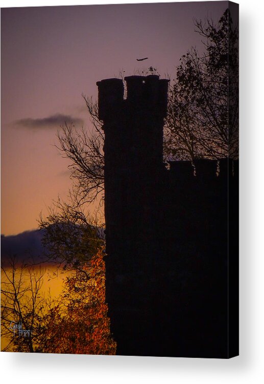 Castles Acrylic Print featuring the photograph The Lookout by Glenn Feron