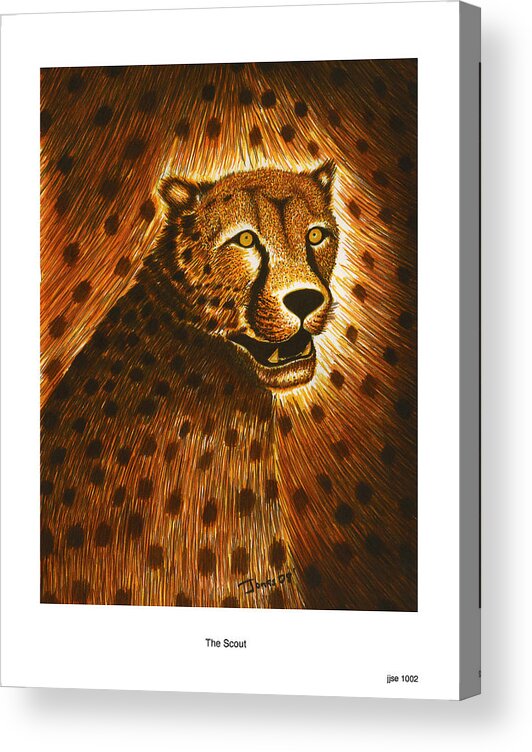 Cheetah Acrylic Print featuring the drawing The Scout by Jonas Jeque