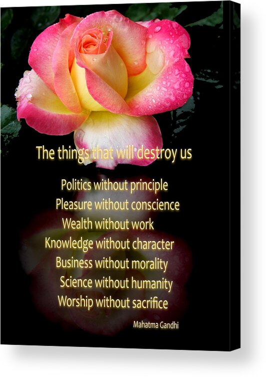 Quote Acrylic Print featuring the photograph The things that will destroy us by George Bostian