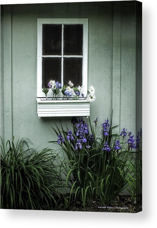 Flowers Acrylic Print featuring the photograph The Window Box by Lucinda Walter